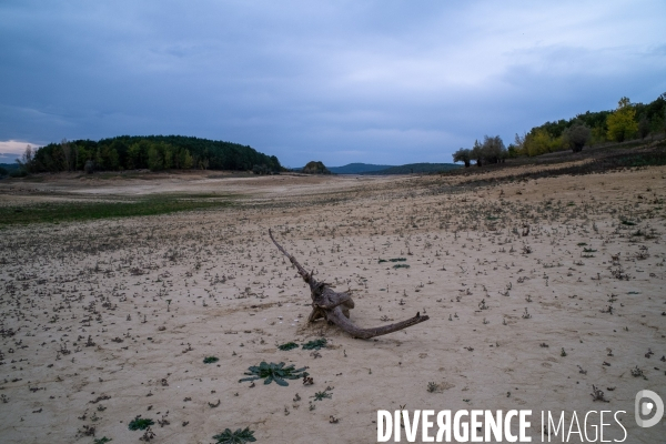 Sècheresse au lac de Montbel