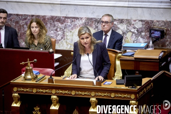 Assemblée : Sanction du RN suite à propos racistes