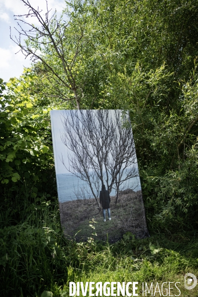 Adopter un arbre