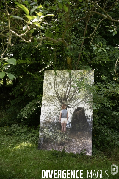 Adopter un arbre