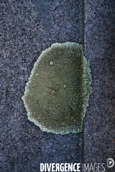 Toussaint au cimetière de Miséricorde