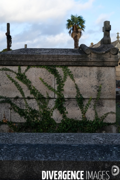 Toussaint au cimetière de Miséricorde