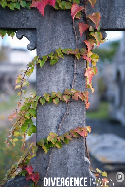 Toussaint au cimetière de Miséricorde