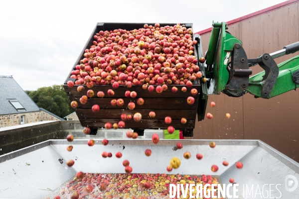 AOP Cidre Cotentin