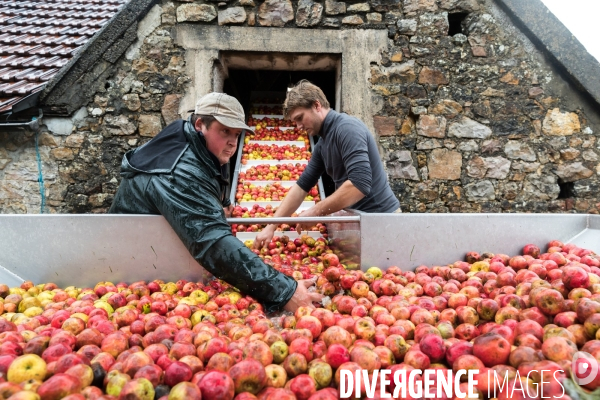 AOP Cidre Cotentin