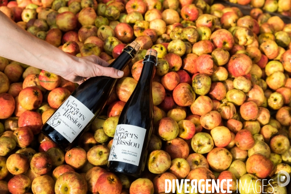 AOP Cidre Cotentin