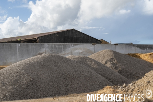 Dans l Oise, unité de méthanisation agricole, équipée d une unité expérimentale de transformation du CO2 en méthane.