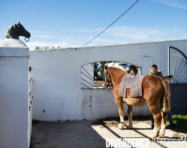 Centre français de tauromachie