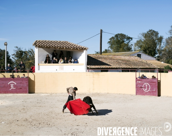 Centre français de tauromachie