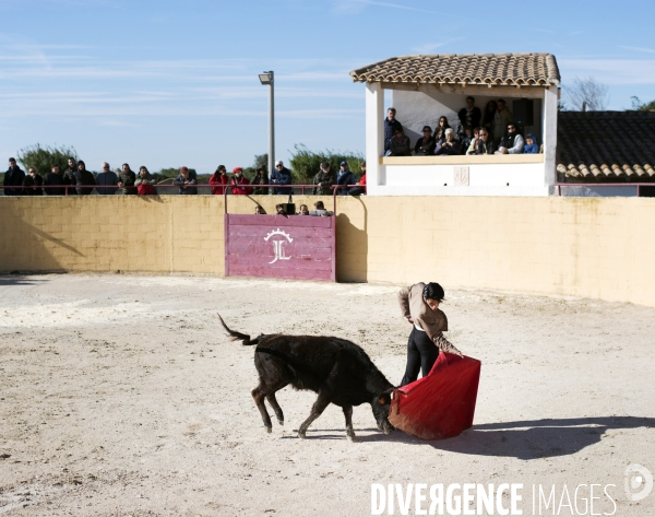 Centre français de tauromachie