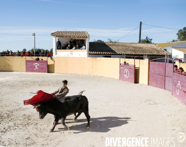 Centre français de tauromachie