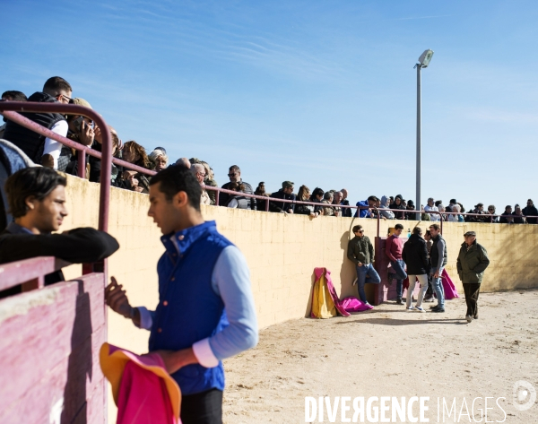 Centre français de tauromachie