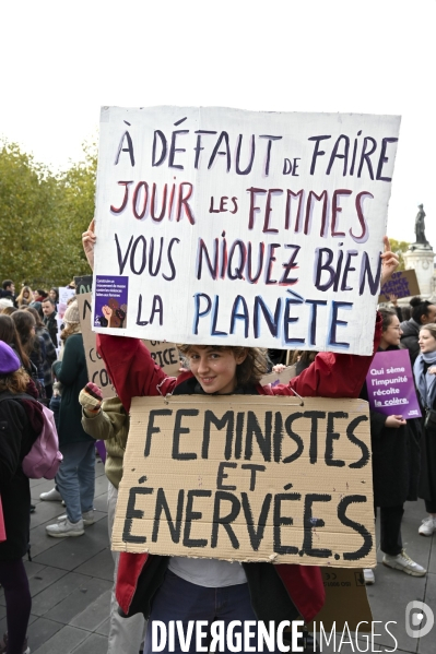 Demonstration Nous Toutes in Paris against sexist and sexual violence. Manifestation Nous Toutes à Paris contre les violences sexistes et sexuelles.