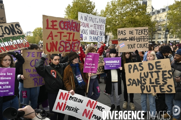 Demonstration Nous Toutes in Paris against sexist and sexual violence. Manifestation Nous Toutes à Paris contre les violences sexistes et sexuelles.