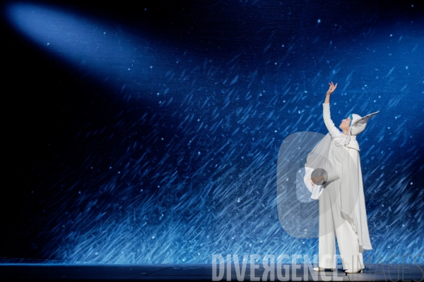 La Reine des neiges, l histoire oubliée / Andersen  /  Johanna Boyé / Comédie Française