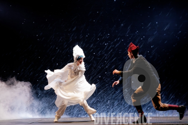 La Reine des neiges, l histoire oubliée / Andersen  /  Johanna Boyé / Comédie Française