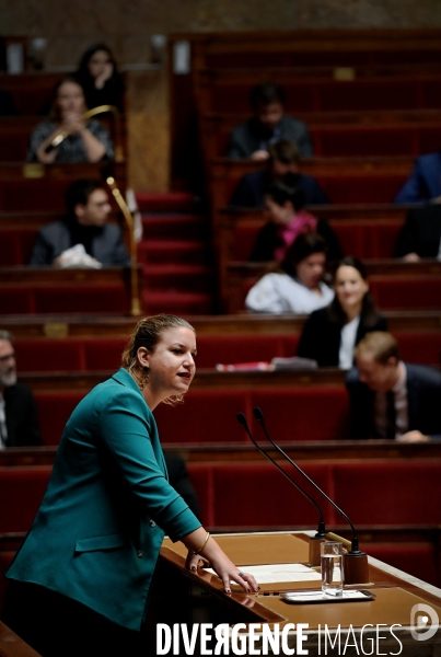 L Assemblée nationale vote en première lecture l inscription du droit à l IVG dans la Constitution