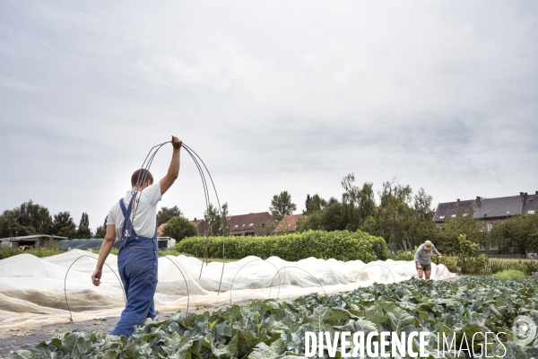 Ferme partagée