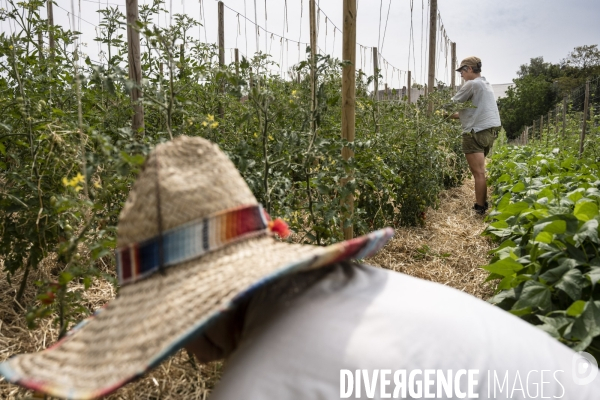 Ferme partagée