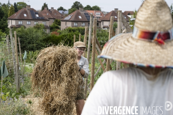 Ferme partagée