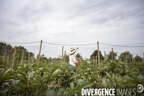 Ferme partagée