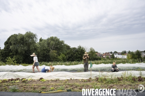 Ferme partagée