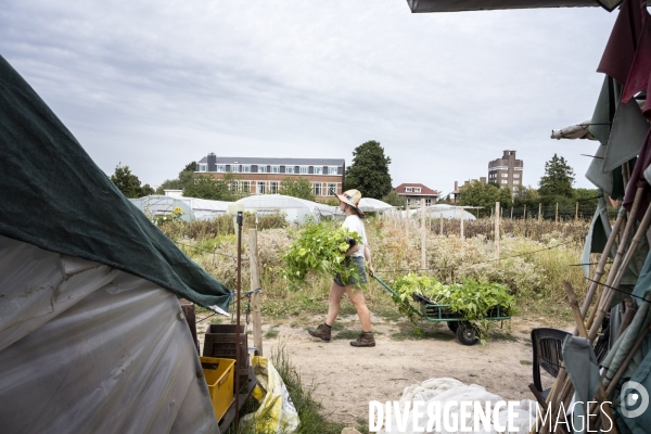 Ferme partagée