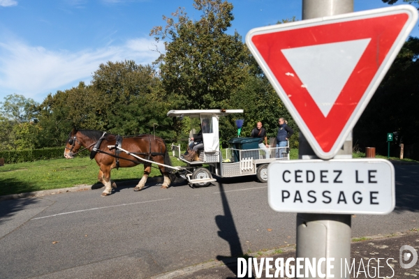 Cheval territorial à Hennebont