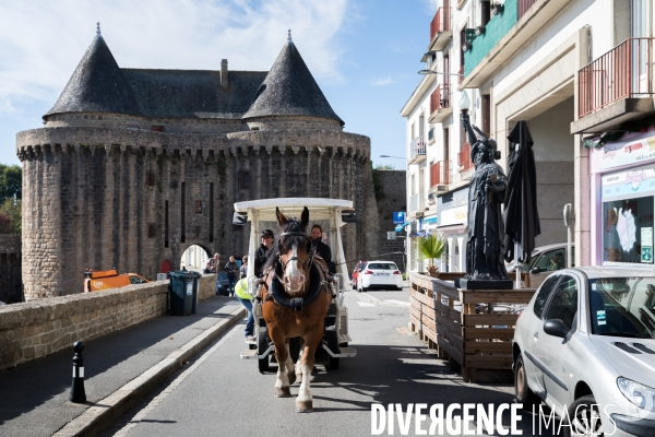 Cheval territorial à Hennebont