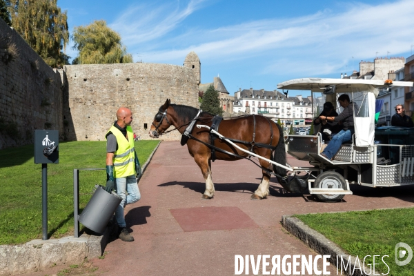 Cheval territorial à Hennebont