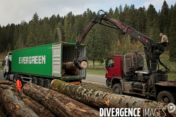 Chargement de bois jurassien dans un conteneur à destination de la Chine