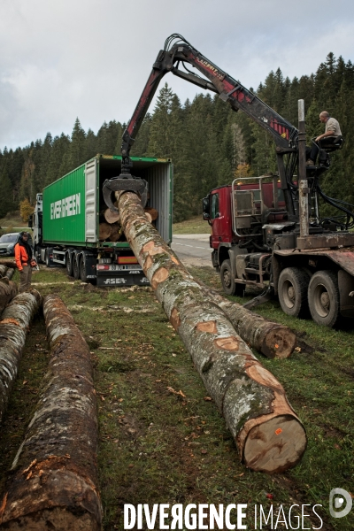 Chargement de bois jurassien dans un conteneur à destination de la Chine