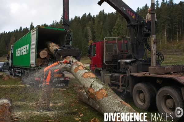 Chargement de bois jurassien dans un conteneur à destination de la Chine