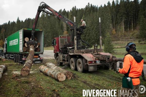 Chargement de bois jurassien dans un conteneur à destination de la Chine