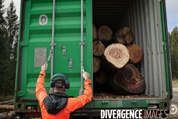 Chargement de bois jurassien dans un conteneur à destination de la Chine
