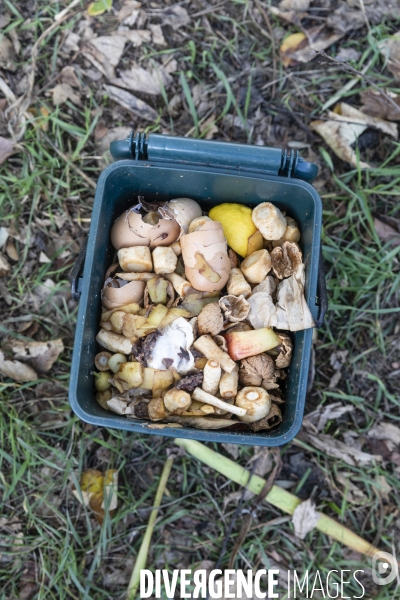 Jardin Zéro déchet  Compostage