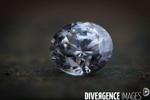 Le diamantaire et ses diamants