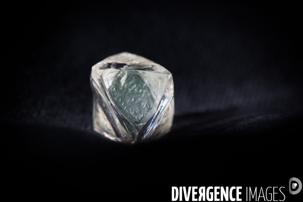 Le diamantaire et ses diamants