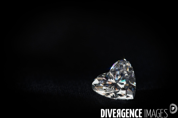 Le diamantaire et ses diamants