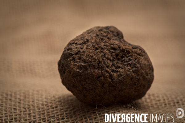La truffe