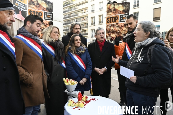 Broyage des poussins : L214 dénonce la trahison du gouvernement