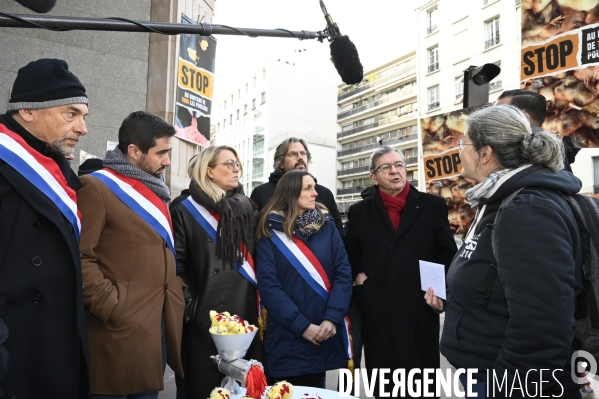 Broyage des poussins : L214 dénonce la trahison du gouvernement