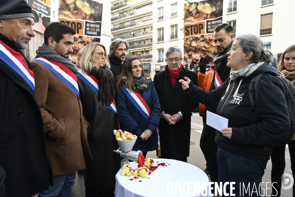 Broyage des poussins : L214 dénonce la trahison du gouvernement