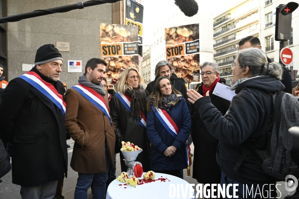 Broyage des poussins : L214 dénonce la trahison du gouvernement