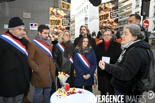 Broyage des poussins : L214 dénonce la trahison du gouvernement