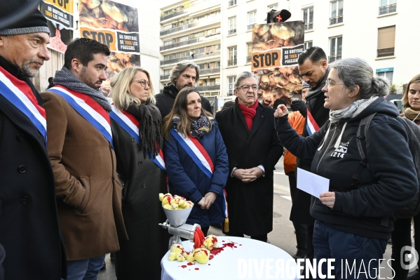 Broyage des poussins : L214 dénonce la trahison du gouvernement