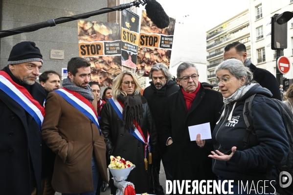 Broyage des poussins : L214 dénonce la trahison du gouvernement