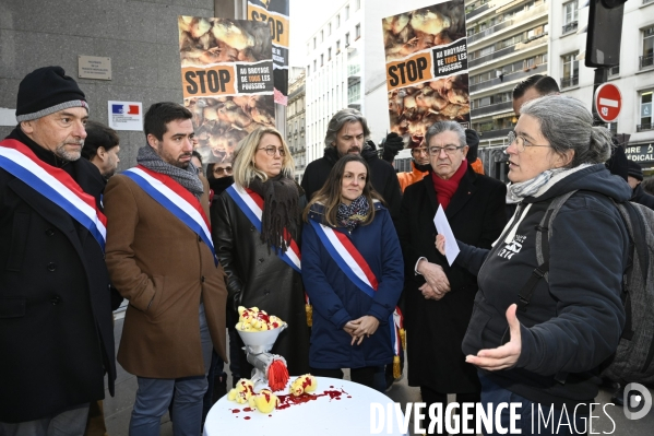 Broyage des poussins : L214 dénonce la trahison du gouvernement