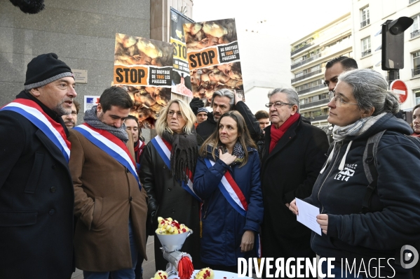 Broyage des poussins : L214 dénonce la trahison du gouvernement