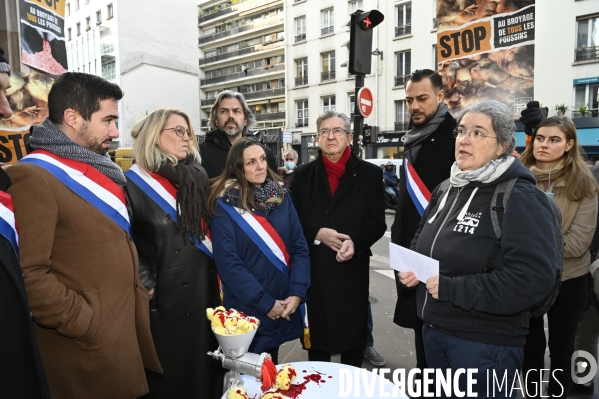 Broyage des poussins : L214 dénonce la trahison du gouvernement